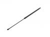 Gasdruckfeder Gas Spring:8731.N8
