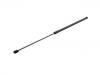 氣彈簧 Gas Spring:3T0 823 359