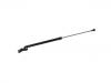 Gasdruckfeder Gas Spring:63269-FJ000