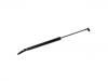 Gasdruckfeder Gas Spring:63269-SG011