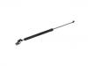 Gasdruckfeder Gas Spring:63269-SG000