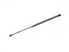 Gas Spring:400 823 359 B