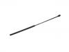 Gasdruckfeder Gas Spring:65796000