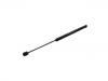 Gasdruckfeder Gas Spring:670007295