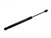 Gasdruckfeder Gas Spring:31425788