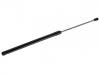 Gasdruckfeder Gas Spring:1R12-640784-AB