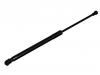 Gasdruckfeder Gas Spring:53440-0W230
