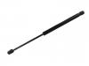 Gasdruckfeder Gas Spring:67726000