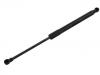 Gasdruckfeder Gas Spring:13437377