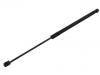 Gasdruckfeder Gas Spring:5JJ 827 550 C