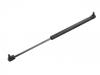 Gasdruckfeder Gas Spring:81.74821.0039
