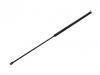 Gasdruckfeder Gas Spring:629 750 03 36