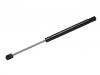 Gas Spring:92161990