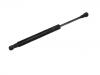 Gas Spring:84430-JK000