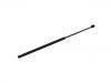 Gas Spring:T4A1146