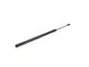 пружина Gas Spring:31457835