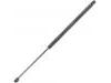氣彈簧 Gas Spring:51736743