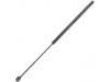 氣彈簧 Gas Spring:MR101555