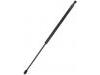 пружина Gas Spring:81771-26011
