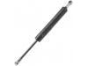 氣彈簧 Gas Spring:8643 038