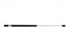 氣彈簧 Gas Spring:81181-3E010